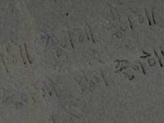 좋아해, 박수하. 친구로서 그리고 남자로서.