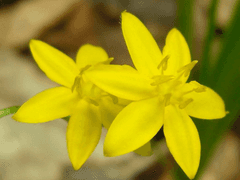 희망을 주었으면 다가갈 수 있는 틈과 기회를 줘.