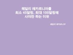 헤일리 레카르니아의 인권값