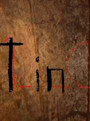 Lost Puppy(로스트 퍼피)