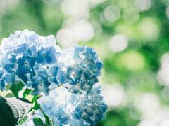 하늘색 표지의 노트