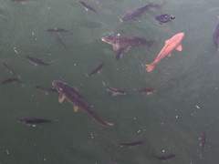 【14】 중독 근처