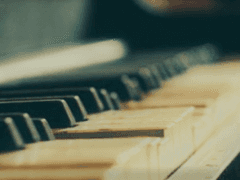 SKY OC 목록 / 각 프로필 링크