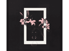 관전 포인트 觀戰point