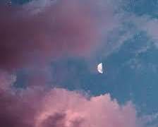 [히나른] 여우들과 쟈근 까마귀 (과거편 2)