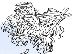 [겟백] 염나연 전력3_살아있는자에겐 축복을