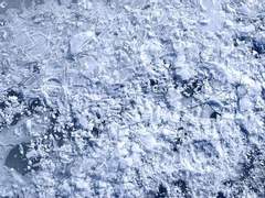 Satellite; Regression and Advance ( 1 )