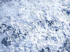 회진 쉬어가는 회차 (설명 및 QnA)