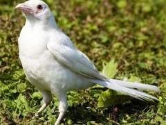 이메 너무 늦어져서 죄삼다...ㅠ