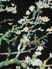 전지적 독자시점