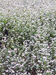 끝이 보이는 무한루프