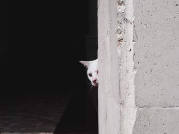 요술공주 밍키 09