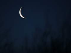 월하정인(月下情人) 07