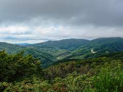 [GL/백합] 여름 산행 (6)