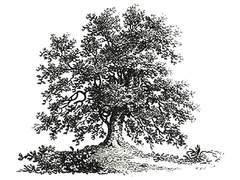 어느 여름날의 깨달음