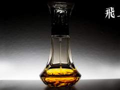 [필멸] 비상(飛上) 中