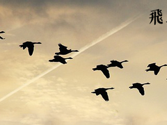 [필멸] 비상(飛上) 上