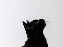 여기는 유토피아