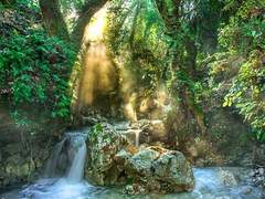 [치엔 헤이화/29세]