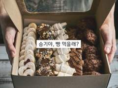 [키리바쿠] 승기야, 빵 먹을래?