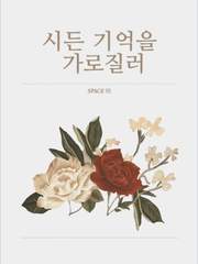 시든 기억을 가로질러