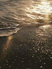 Mare tranquillitatis