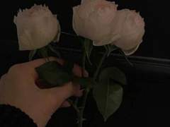 아름답게 유유히 피어나거라