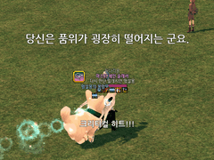 마비노기 (21) G25