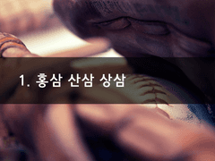 1. 홍삼 산삼 상삼