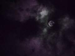 앤디겜/달과 피에 관한 약속 02