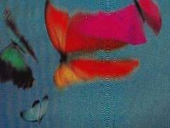 잊어버리지 않는 기억들