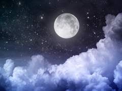 [츠무히나] 기다림의 미학 上