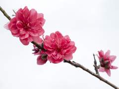 외전 2-3-1. 화목한 가정의 출발점