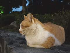 [창작단편] 우리의 굴레