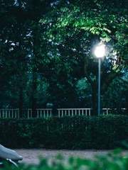 이말삼초 탈출 프로젝트