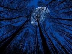 이해할 수 없었던,