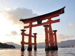 [미야히나] 가온누리의 그린내 上