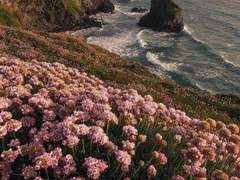 [국뷔] 고백의 약속은 언제나 부서진다.