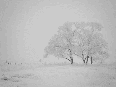 친애하는 당신에게,