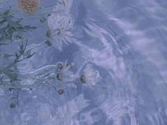 독기를 품은 까마귀는 고양이와 같다 ep.8,9