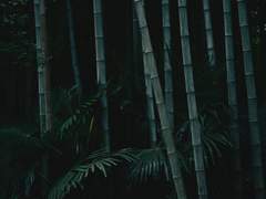 吉凶如糾纆 吉凶同域