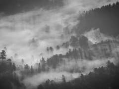 [드큘연성]끊어진 태엽-1화