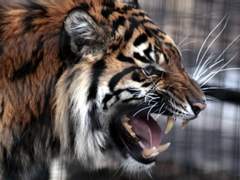 [뷔민] 어느 산골 어린 부부 이야기 [중]