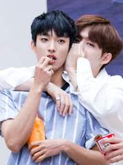 [쿱겸] Brain, Boss, Baby.