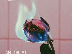 봄에 피고 여름에 지는