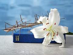 [슈숮] 장마 속의 천국