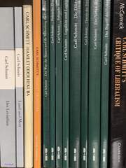 카를 슈미트, 땅과 바다 읽기