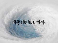 태풍(颱風), 하다.