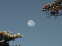 네가 사라진 자리