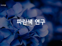 [마기카로기아] 파란색 연구 후기